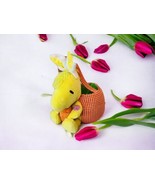 Dan Dee Peanuts Woodstock Easter Bunny Rabbit Basket Red White Gingham Soft - $25.46 CAD