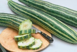 50+ Organic Armenian Striped  Cucumber seeds  - Tasty - NON - GMO, 2024 Season - £2.82 GBP