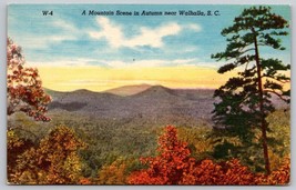 Vintage mountain autumn fall landscape near Walhalla South Carolina Postcard - £1.57 GBP