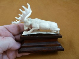 moose-28 white Moose Elk bull running shed ANTLER figurine Bali detailed... - £61.49 GBP
