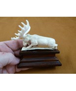 moose-28 white Moose Elk bull running shed ANTLER figurine Bali detailed... - £60.78 GBP