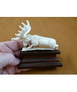 moose-28 white Moose Elk bull running shed ANTLER figurine Bali detailed... - $106.78 CAD