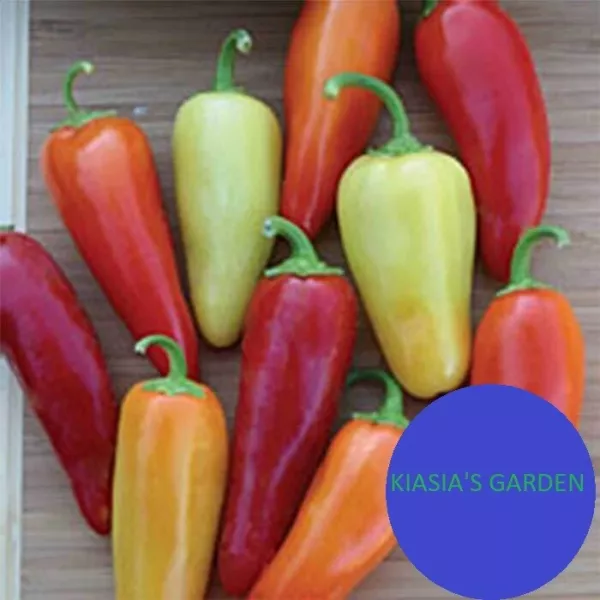 Santa Fe Grande Hot Pepper Seeds Yellow Chili Organic Fresh Garden - £6.35 GBP