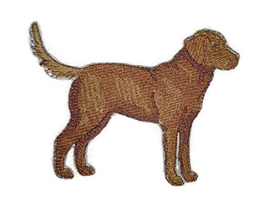 Amazing Custom Dog Portraits [Chesapeake Bay Retriever] Embroidery Iron On/Sew P