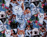 Cotton Kittens &amp; Flowers Cats Animals Pets Fabric Print by the Yard D388.53 - $9.95
