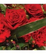 20 Seeds Rouge Lisianthus Semences Florales/ Eustoma/ Annual/ Super Cut Fleur/Ca - £10.94 GBP