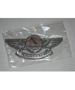 Airline Collectibles - AMERICAN AIRLINES - FLIGHT CREW Kiddie Wings - £11.21 GBP