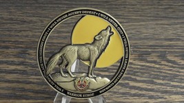 US Army South Dakota ANG 109th Regional Support Group CSM Challenge Coin... - £14.69 GBP