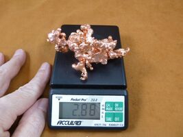 Item image 1 image 1