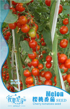 SL Very Sweet Red Cherry Tomato &#39;Hong Gu Niang&#39; Organic Seeds, Original Pack, 10 - $1.38