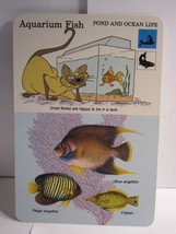 1978 Walt Disney&#39;s Fun &amp; Facts Flashcard DFF12-6: Aquarium Fish - $2.00