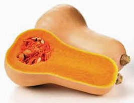 Squash Seeds,Waltham Butternut Squash, Heirloom, Organic, 100 Seeds, Non Gmo - £5.53 GBP