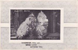 Fluffy Pets Cats Postcard Copyright 1901 H. I. Robbins Good Luck Attend You - £2.38 GBP