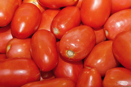 Roma Italian Tomato Seeds 100 Ct Vegetable Tomato Paste Sauce Fresh Gard... - $3.88