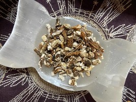 .5 oz Skunk Cabbage Root, Court Case Luck, Legal Matters, Dried Herbs - £3.14 GBP