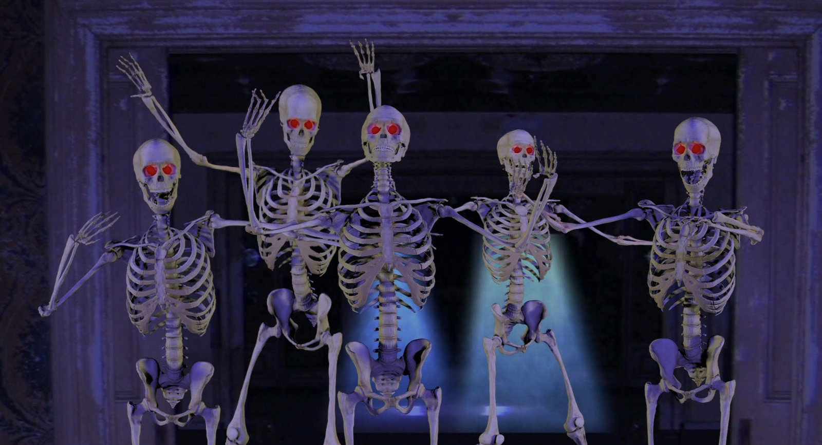 Pop Up Skeletons DVD - $23.95