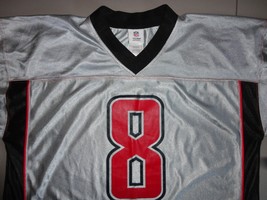 Silver Houston Texans NFL Matt Schaub #8 Screen Jersey Adult XL NICE Fre... - $26.61