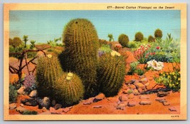 Barrel Cactus Visnaga on the Desert UNP Unused Linen Postcard K6 - £2.30 GBP