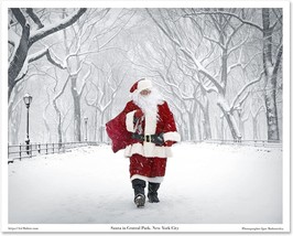 Santa In Central Park, New York City 16X20 Inch Art Photo Print Poster U... - $30.99