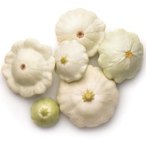 50 Early White Bush Patty Pan Scallop Squash Seeds Pattypan Vegetable Seeds Gard - $8.78