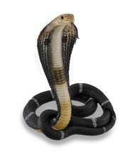 Coiled and Rearing King Cobra Sculptured Statue - £133.45 GBP