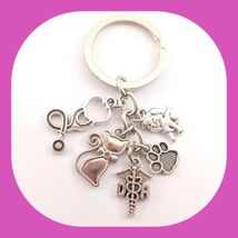 New Veterinary Dog/Cat technician Rescue Animal Lover Keychain Perfect Gift - $8.00