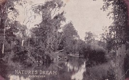 Natures Dream by Scheuer La Harpe Kansas KS Moran 1912 Postcard A19 - $57.06 MXN