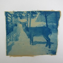 Cyanotype Photograph On Cloth Deer Standing in Snow by Fence Antique 1800s RARE - £39.17 GBP