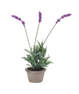 Potted Lavender 14.5&quot;H - 851542 - $68.42 CAD