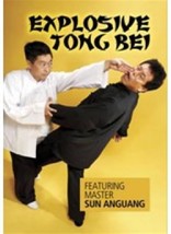 Explosive Tong Bei Kung Fu DVD  Sun Anguang Northern Chinese Boxing Xue ... - $22.00