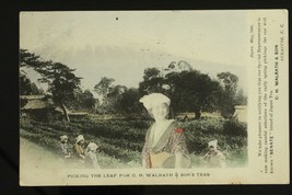 Vintage Postcard Postal History Japan to USA 1906 UDB Walrath &amp; Son Picking Tea - £13.23 GBP