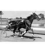 DVD - HARNESS RACING Vintage Racing 1932-1966...HOOT MON/Adios/PORTERHOU... - $34.99