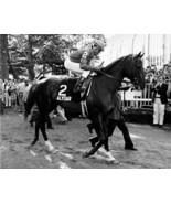 DVD - History of TRIPLE CROWN &amp; Near-Misses...ALYDAR/Risen Star/WINNING ... - $34.99