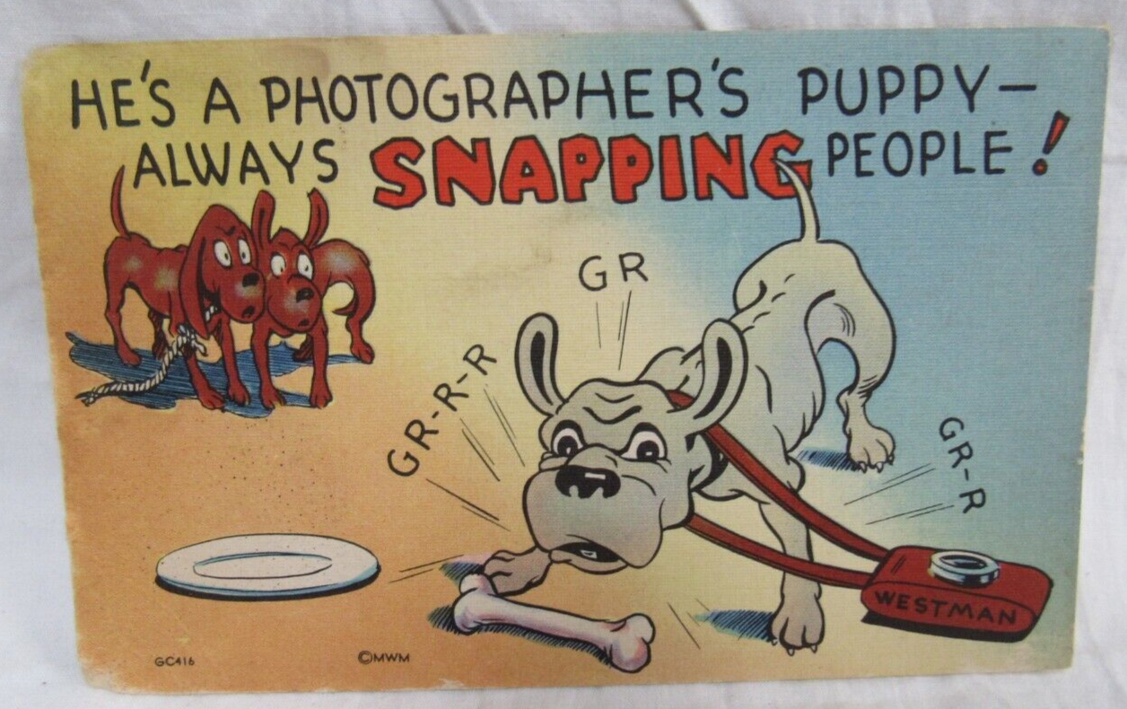Primary image for Comic Linen Postcard MWM GC416 He's A Photographers Puppy Always Snapping People
