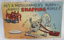 Comic Linen Postcard MWM GC416 He&#39;s A Photographers Puppy Always Snappin... - £2.32 GBP