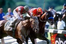 Dvd   Real Quiet&#39;s 1998 Run For The Triple Crown...Victory Gallop In Belmont - £27.51 GBP