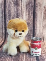 Gund Boo The World&#39;s Cutest Dog Pomeranian Plush 10in Stuffed Animal Toy 4029715 - £11.59 GBP