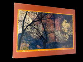 Vintage Springbok Bookcase Puzzles Autumn Moment & Reflections Ernst Haas - $93.14