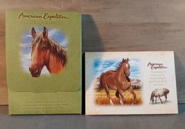 American Expedition Mustang Horse Blank Cards Notecards Set 4 Envelopes Gift Box - £9.81 GBP