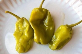 New Fresh 50 Greek Golden Pepper Pepperoncini Gold Yellow Capsicum Annuum Vegeta - £11.35 GBP