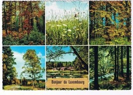 Luxemburg Postcard Multi View Forest Flowers - £1.66 GBP