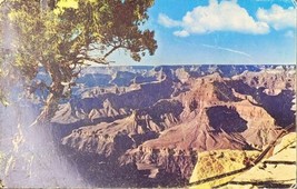 Grand Canyon National Park c1950s Postcard Vintage Posted Cancelled North Rim AZ - £7.54 GBP