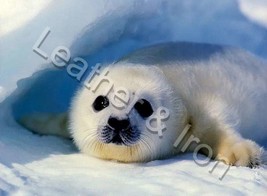 New Seal Pup Design Checkbook Cover - £7.95 GBP
