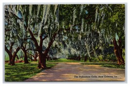 Pakenham Oaks New Orleans LA UNP Linen Postcard Y6 - £2.35 GBP