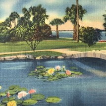 Florida Vintage Postcard Footbridge Waterfront Park Daytona Beach - £7.84 GBP