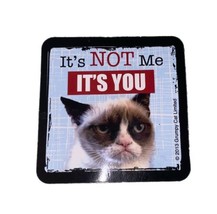 2013 World Famous Grumpy Cat Fridge Refrigerator Magnet Near Vtg - $5.95