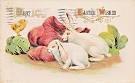 Best Easter WISHES-LOP Eared Rabbit Postcard 1913 - £8.87 GBP