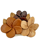 Wooden Carved Hawaii Plumeria Flower Refrigerator Magnet - $17.32