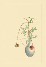 Pomegranate and Chrysanthemum 20 x 30 Poster - £20.43 GBP