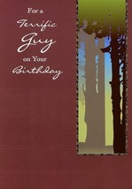 For A terrific Guy On Your Birthday - Birthday Greeting Card - 00329 - $51.34 MXN